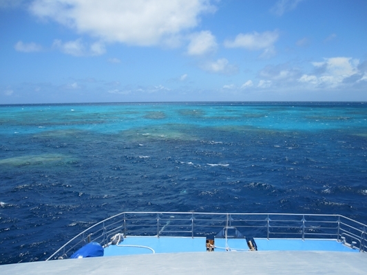 typical_view_on_the_great_barrier_reef