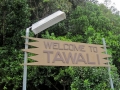 tawali_resort